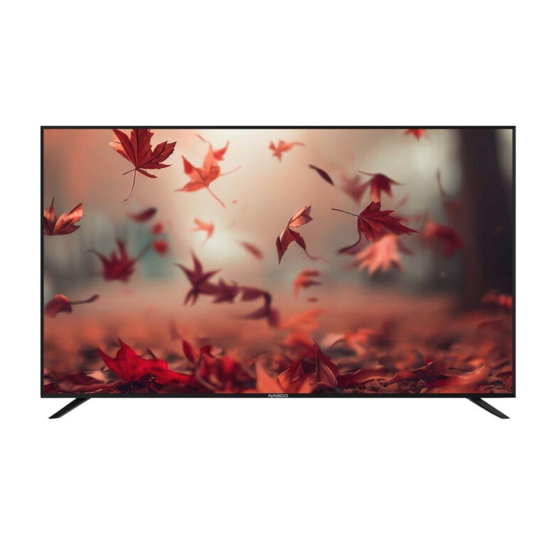 Nasco 32 LED Digital Satellite Television